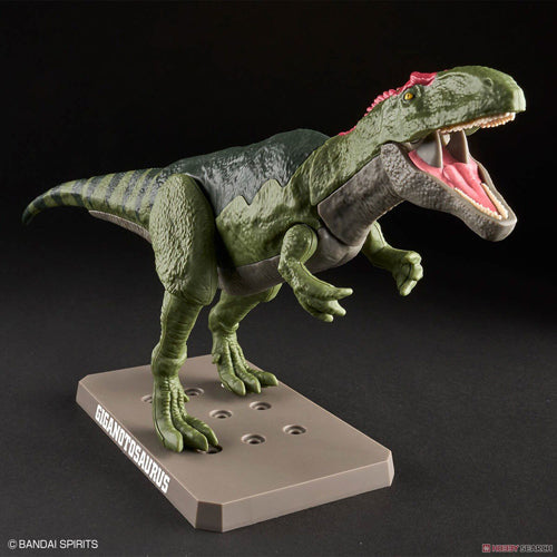 Plannosaurus Giganotosaurus Model