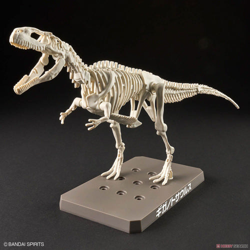 Plannosaurus Giganotosaurus Model