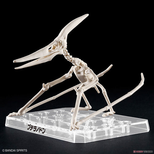 Plannosaurus Pteranodon Model