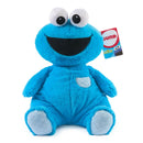 Oh So Snuggly Cookie Monster Plush 30cm