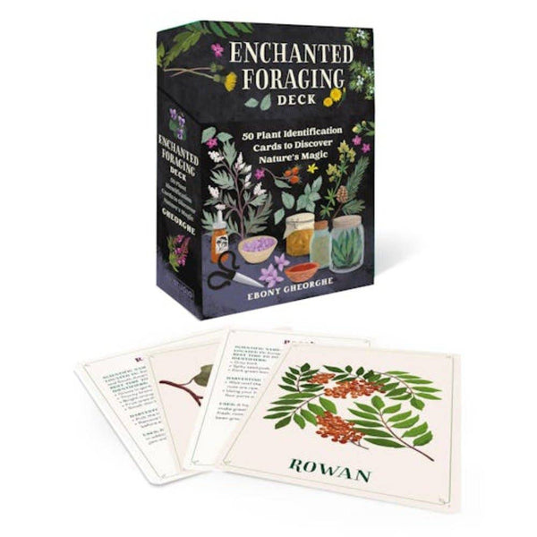 Enchanted Foraging Plant Identification Cards