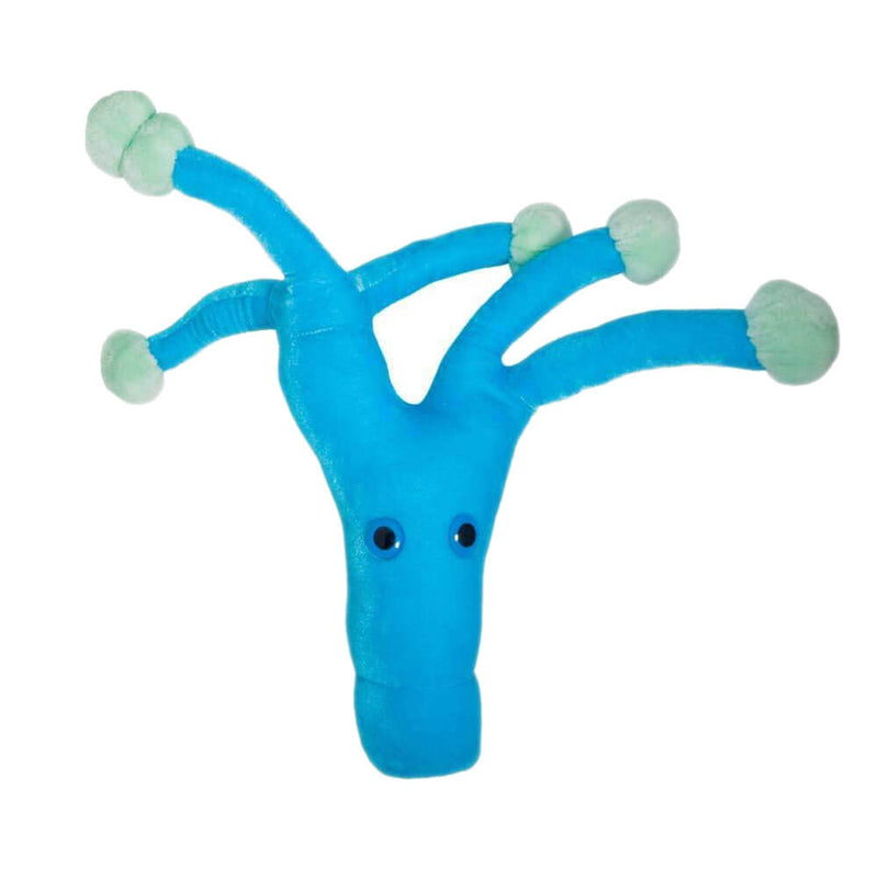 Gigantic Microbes