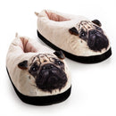 Animal Slippers