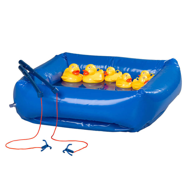 Ridley's Hook a Duck